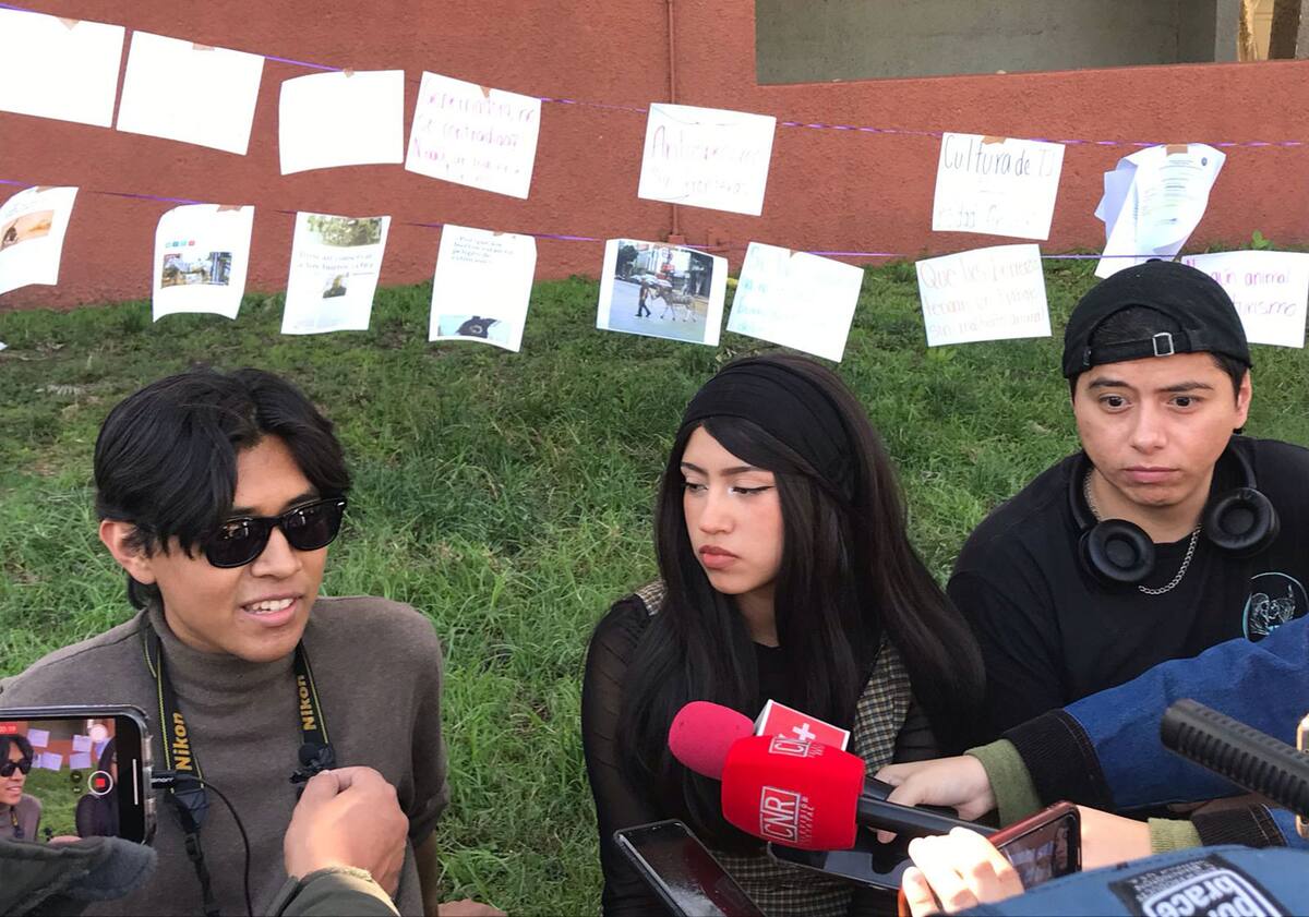 Los miembros del Colectivo se manifestaron en las instalaciones del Instituto de Cultura de Baja California.