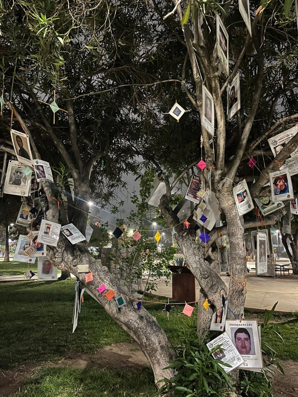 Ante la creciente cifra de desapariciones, no solo las autoridades se han desensibilizado, también la población.