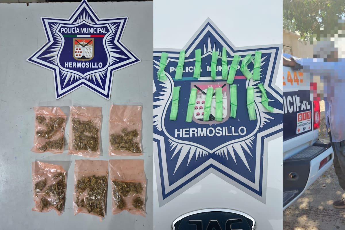 Decomisan más de mil 600 dosis de narcóticos en Hermosillo