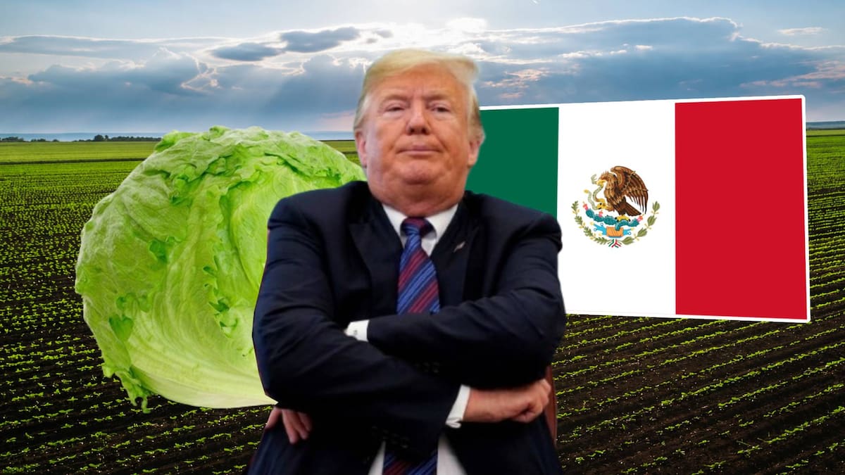 Donald Trump lanzó como "broma" nuevas amenazas de aranceles contra México por la lechuga mexicana que EEUU ligó a bacteria que provocó diarrea explosiva. | AP y Archivo GH