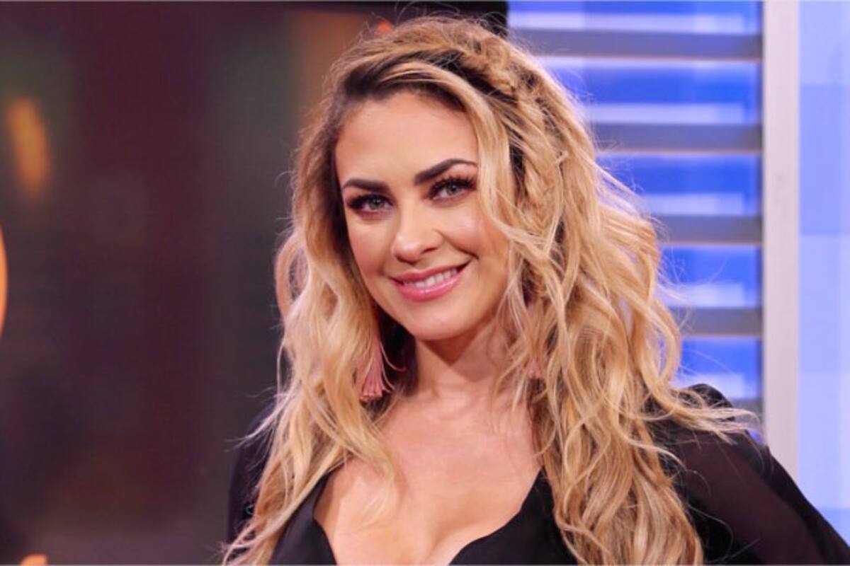 Aracely Arámbula les da su regalo a los papás luciendo mini bikini