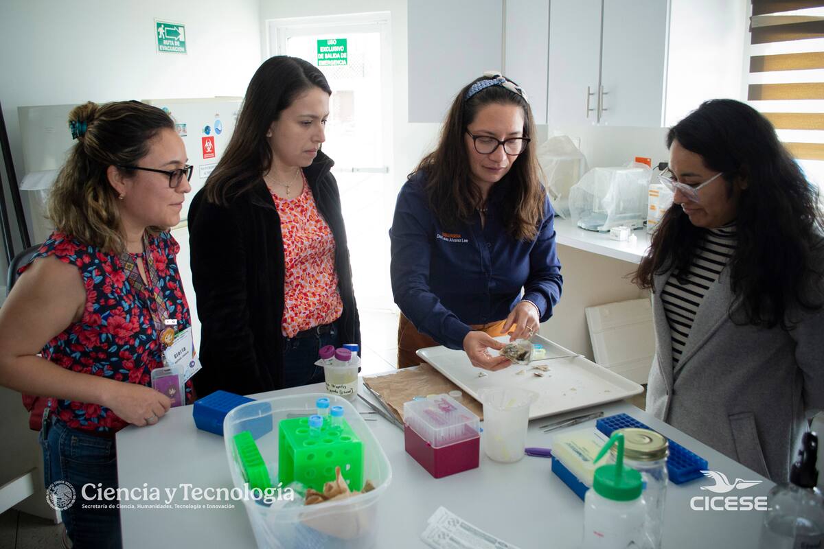 Cicese invita a simposio sobre citometría en oceanografía y acuacultura