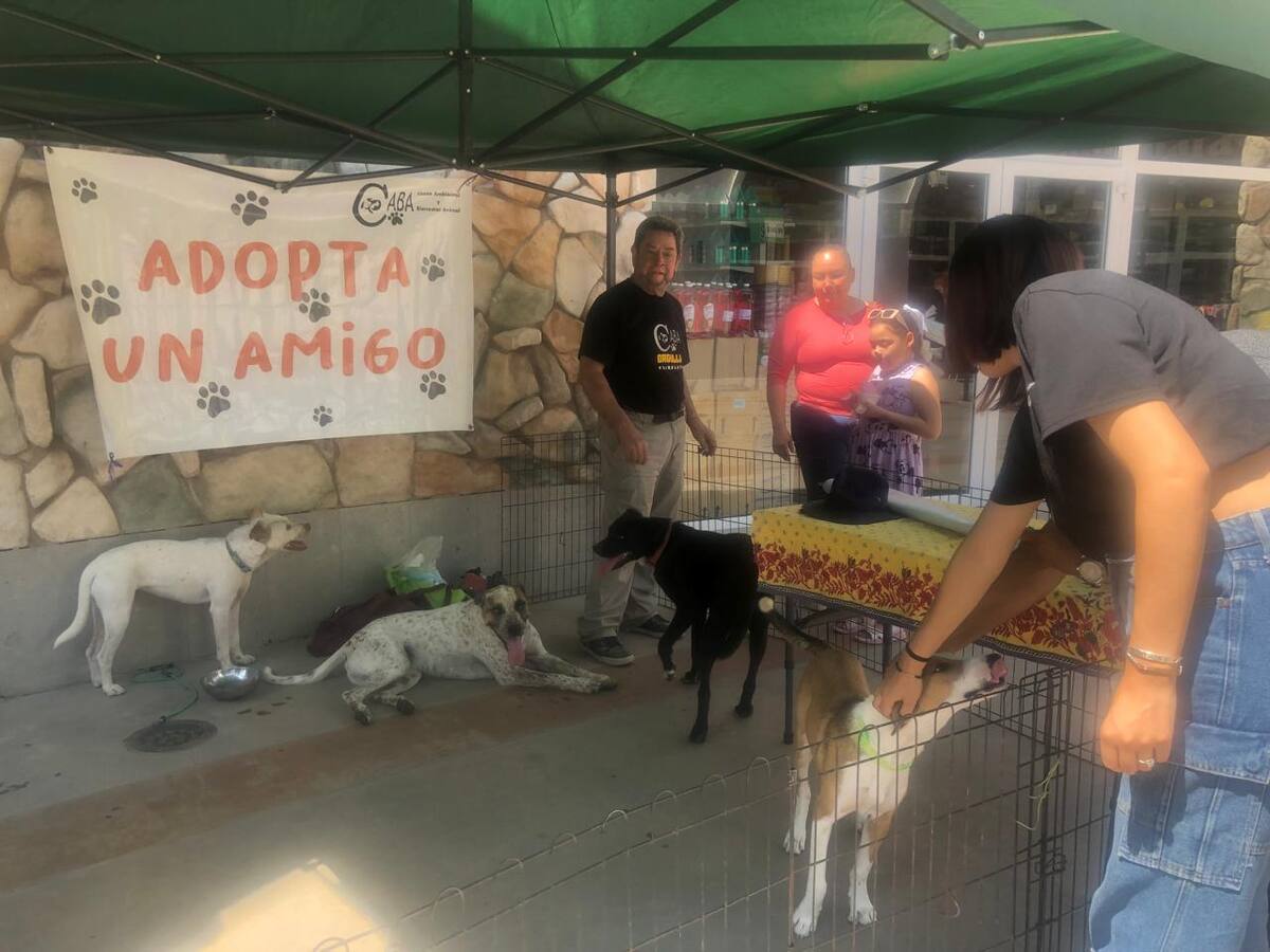 Foto: Carmen Gutiérrez