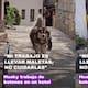 Es botones de un hotel y causa sensación: perro husky se vuelve viral por ayudar a llevar maletas