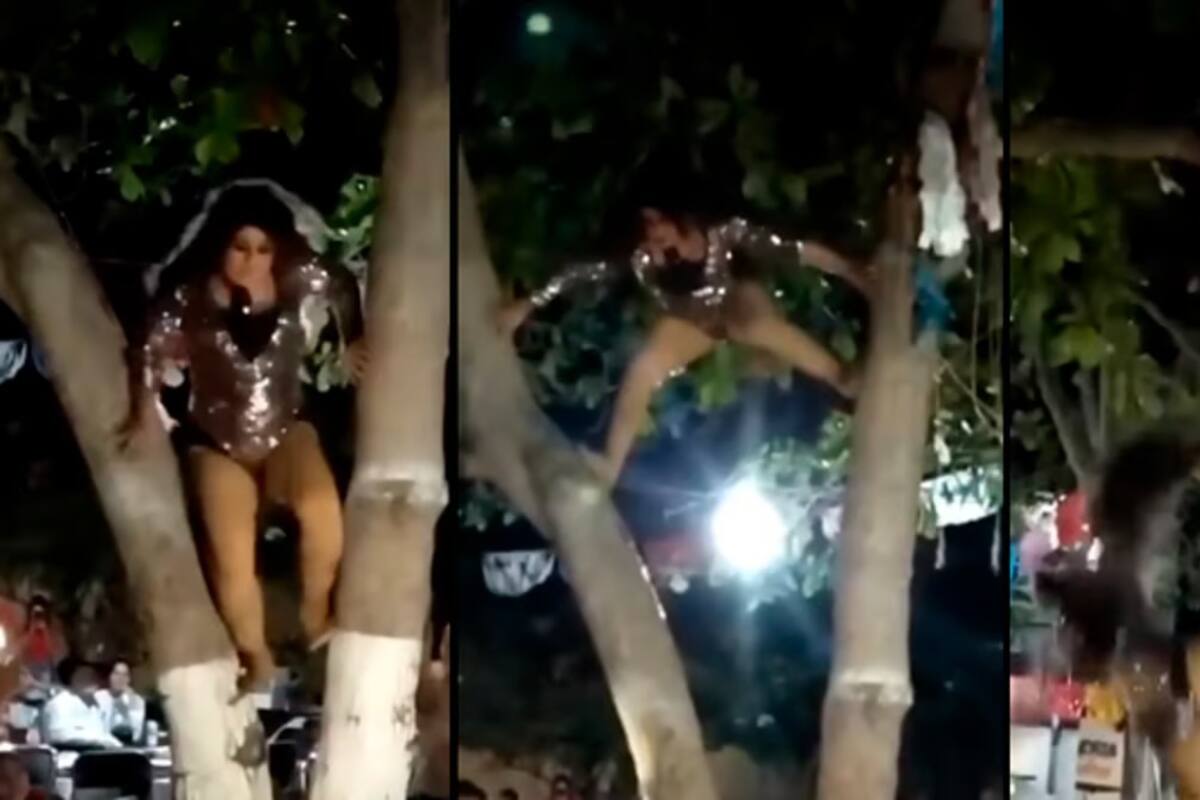 VIRA: Noche de fiesta que pasó de la diversión al susto
