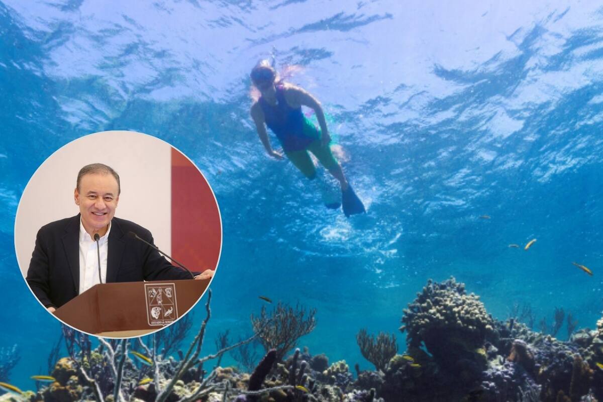 San Carlos es referente mundial en turismo de buceo: Alfonso Durazo