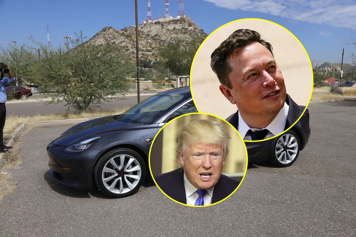Las acciones de Tesla se desploman fuertemente mientras Elon Musk estalla contra paquete tributario de Donald Trump