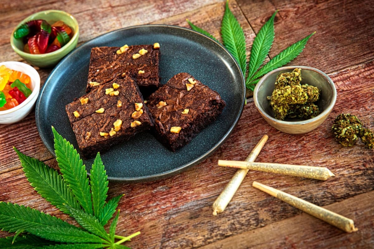 Helado y otros alimentos con cannabis ¿Serán legales en México?