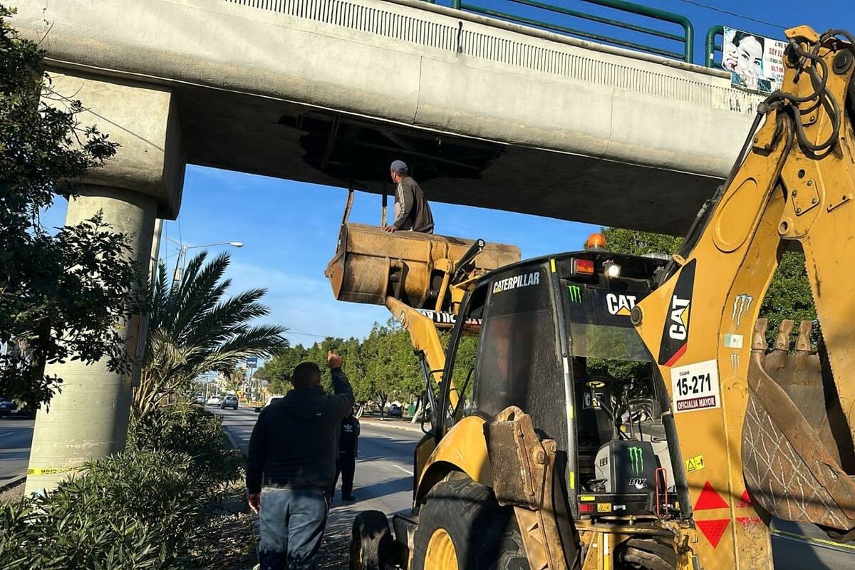 Revisa el CIC estructura de puente UABC
