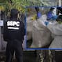 Desmantelan narcolaboratorio en Zapopan; aseguran fentanilo y químicos para 625 mil dosis