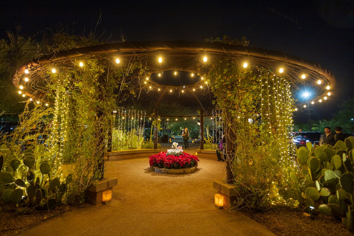 Noches de las Luminarias en Desert Botanical Garden: Magia, Luces y Experiencias Imperdibles