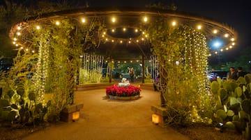 Noches de las Luminarias en Desert Botanical Garden: Magia, Luces y Experiencias Imperdibles