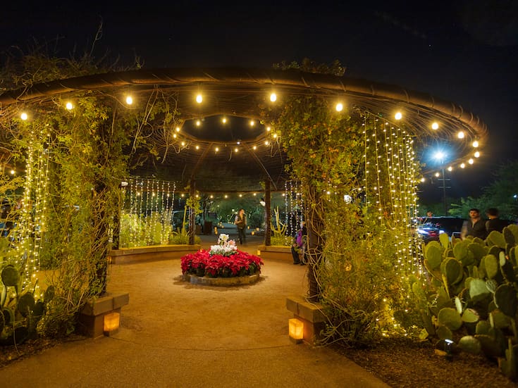 Noches de las Luminarias en Desert Botanical Garden: Magia, Luces y Experiencias Imperdibles