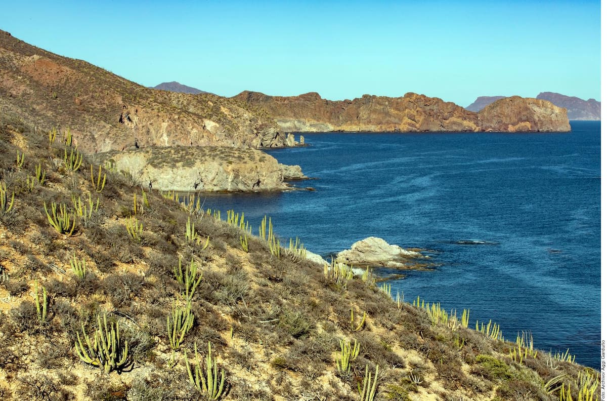 Las islas y áreas naturales protegidas del Mar de Cortés fueron inscritas en la Lista del Patrimonio Mundial en Peligro.