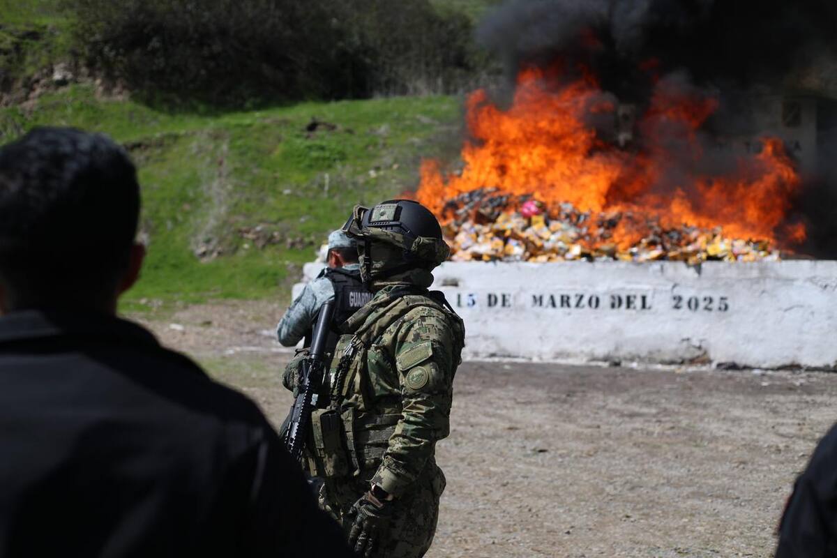 Los narcóticos fueron asegurados en distintos operativos.