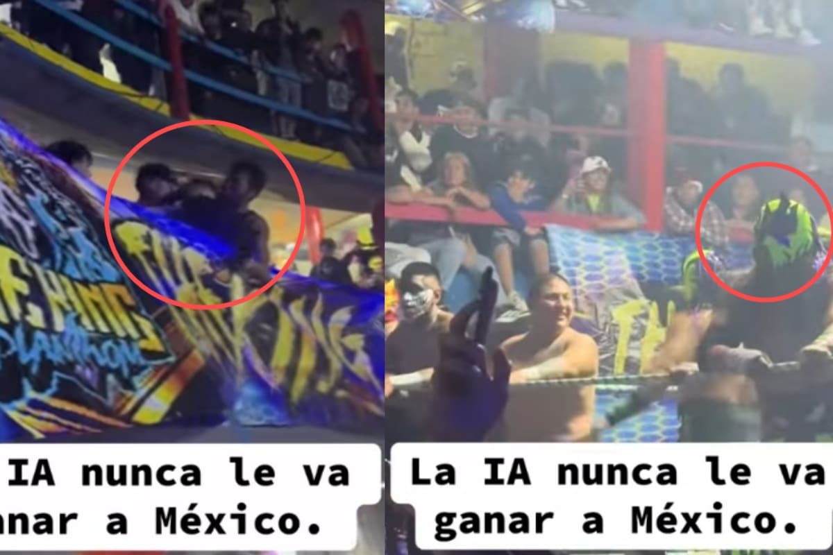 “La ironía es hilarante”: hombres se agarran a golpes en lucha libre y los luchadores detienen el show para mirarlos