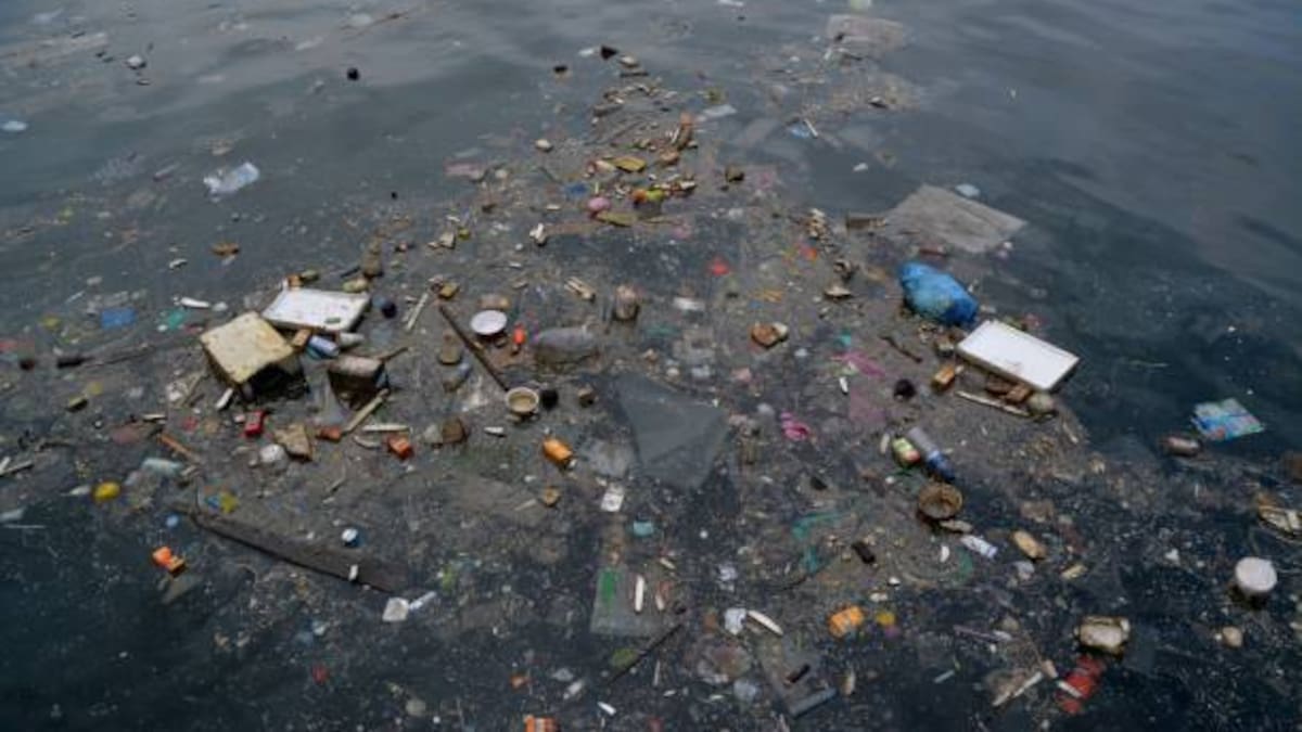 Urgen a limpiar ríos Tijuana y Alamar por contaminación