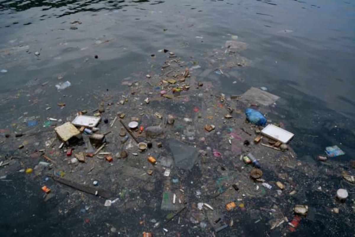 Piden a Conagua limpiar ríos Tijuana y Alamar por contaminación
