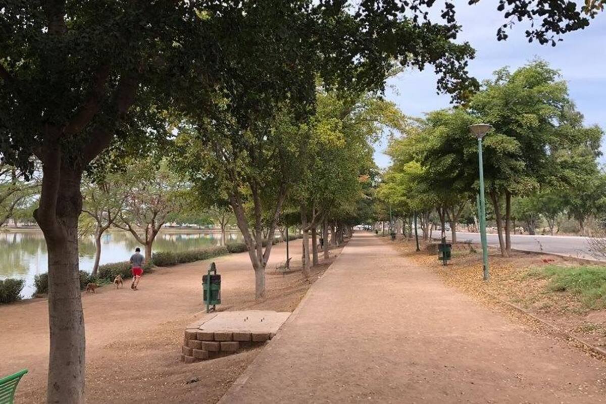 Buscan ampliar atractivos de Laguna del Náinari durante la noche; podrían vender alcohol