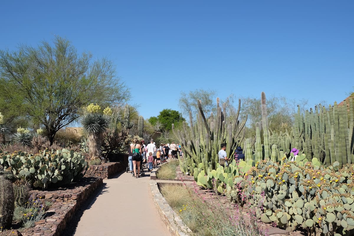 La ciudad de Phoenix ofrece actividades para todos los gustos en esta temporada