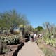 La ciudad de Phoenix ofrece actividades para todos los gustos en esta temporada