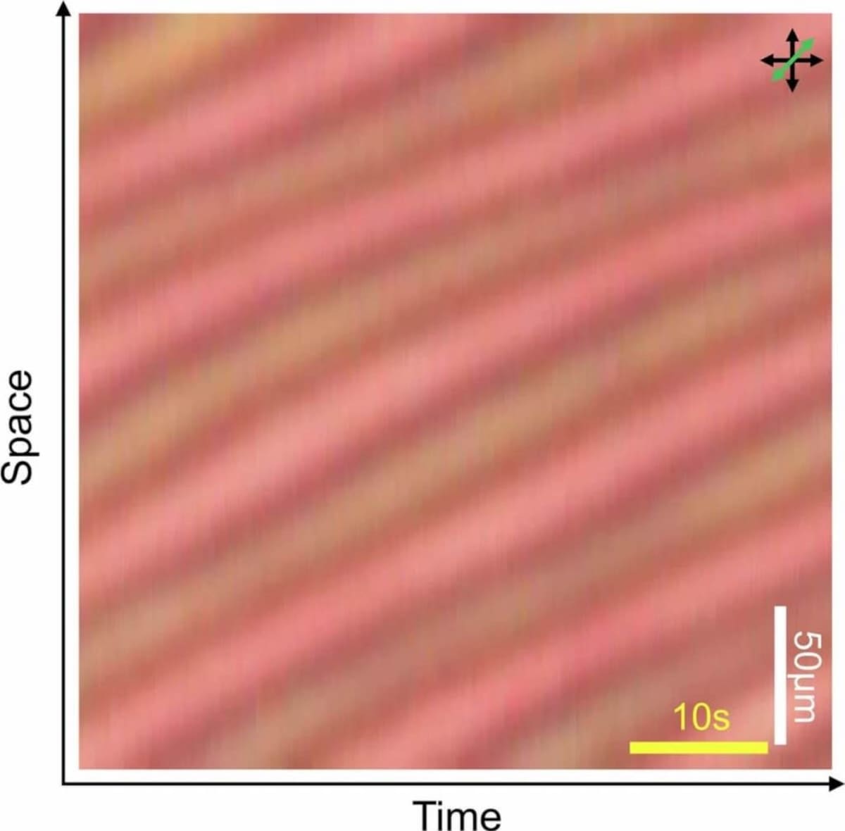 Registro del cristal de tiempo en el espacio y el tiempo: las líneas diagonales ilustran la repetición constante del patrón a medida que transcurre el tiempo. Fuente: Nature Materials