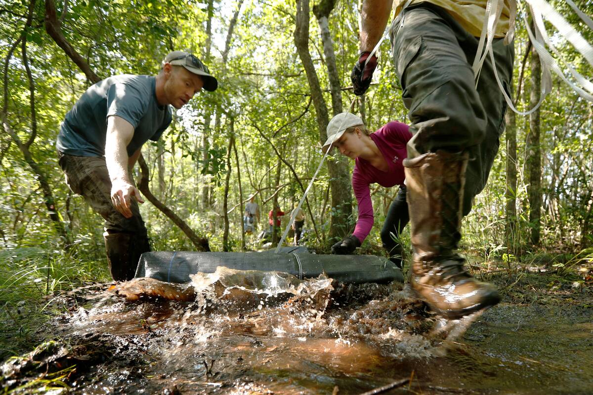 En esta imagen, tomada el 30 de julio de 2019, los investigadores David Pavlik (izquierda) y Emily Price despliegan un pantano inflable de goma para crear un hábitat adecuado para la rara mariposa de Saint Francis Satyr, en Fort Braggs, Carolina del Norte. Las mariposas prefieren las represas húmedas creadas por los castores. (AP Foto/Robert F. Bukaty)