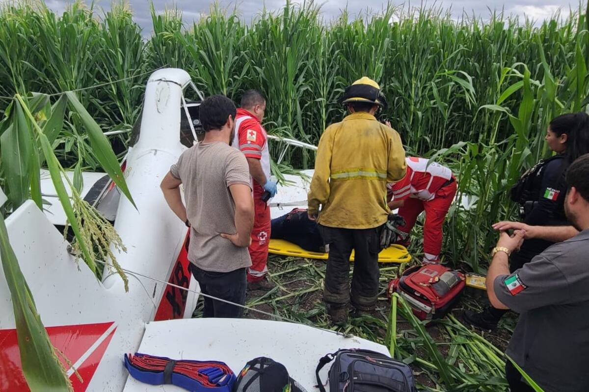 Avioneta se estrella en campo agrícola de Culiacán