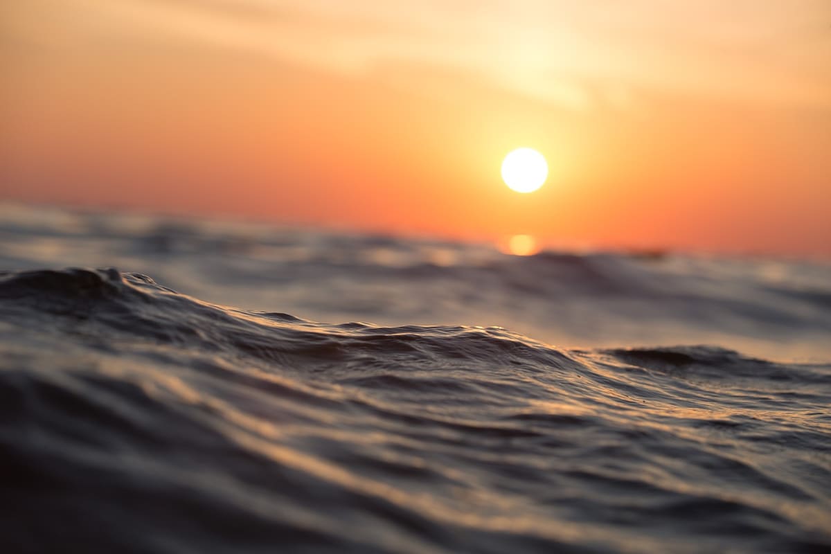 Las olas de calor marinas, fenómenos extremos que han aumentado en frecuencia y duración debido al calentamiento global, tienen graves impactos en los ecosistemas marinos, la economía y la seguridad de las comunidades costeras.