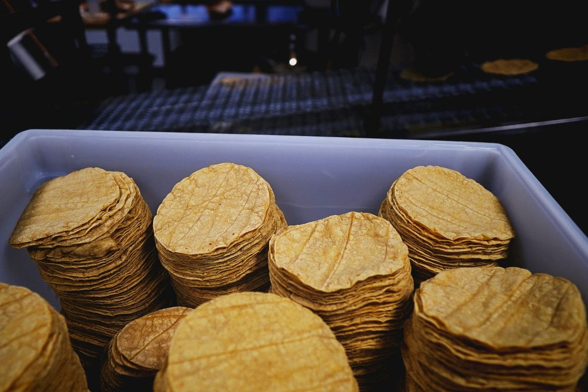 ¿Sabías que una tortilla puede ser más nutritiva que una ensalada?