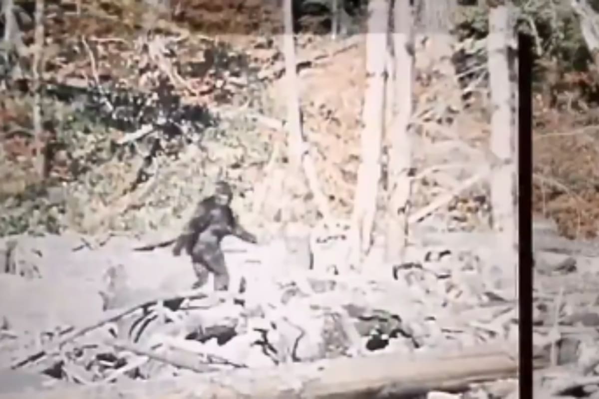 Tras casi 60 años, un documental presenta una grabación inédita que apunta a que el famoso video de Bigfoot de 1967 fue un montaje preparado antes de filmar a la supuesta criatura en los bosques de California