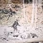 Tras casi 60 años, un documental presenta una grabación inédita que apunta a que el famoso video de Bigfoot de 1967 fue un montaje preparado antes de filmar a la supuesta criatura en los bosques de California