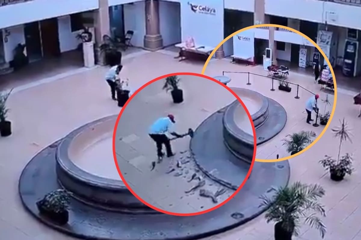 Hombre destruye fuente histórica en Presidencia Municipal de Celaya para “acabar con la corrupción”; policías permitieron la destrucción pensando que el sujeto era parte del personal de mantenimiento