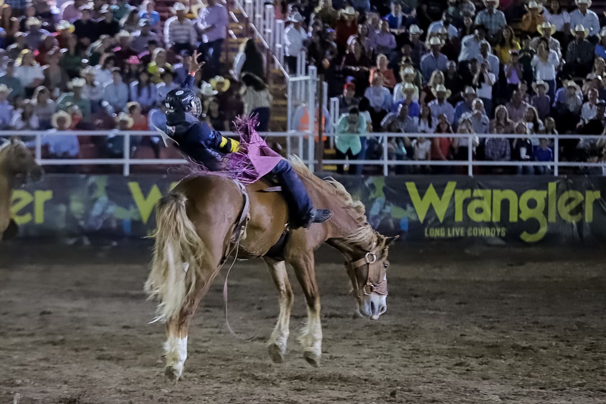 Ocho circuitos, una sola arena
