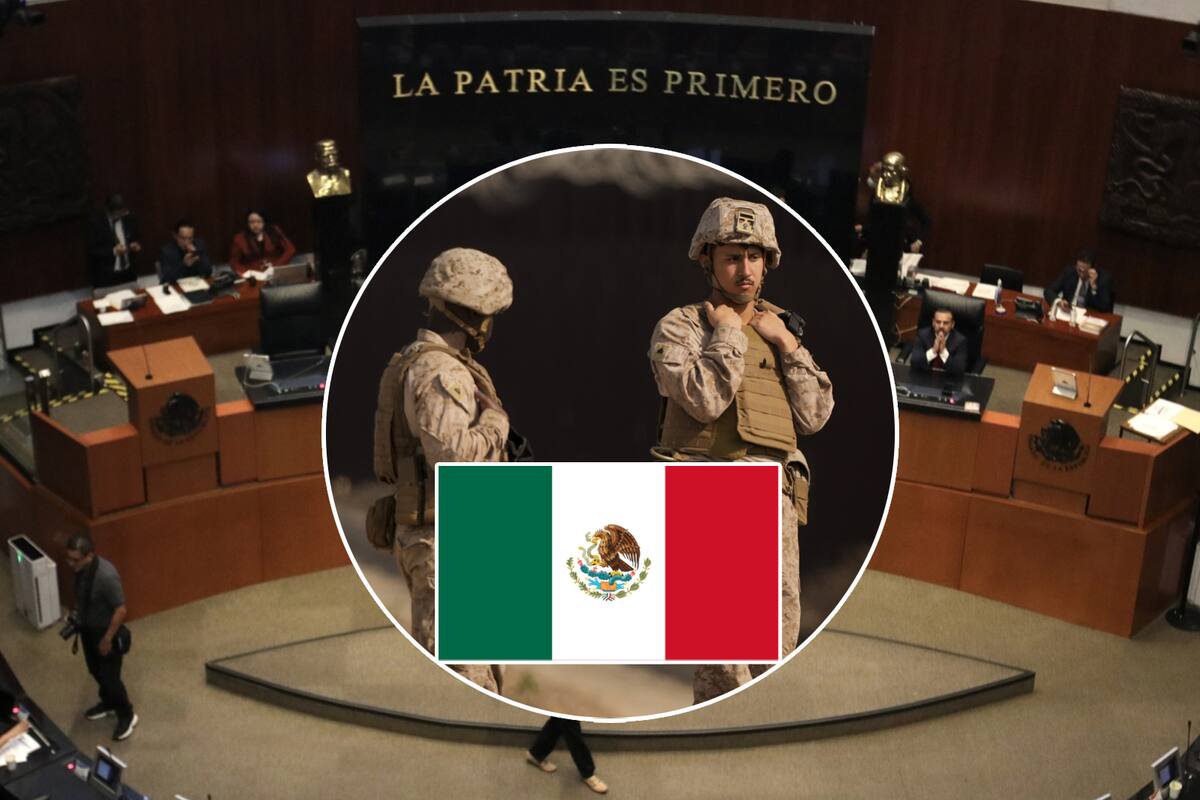 Marines entrarán a México por autorización del Senado “respetando la soberanía”, por qué, qué harán y todo lo que debes saber