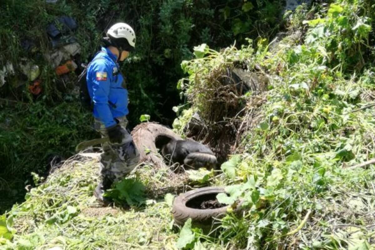 Restos humanos hallados en Quito en 2017 corresponden a cubana desaparecida