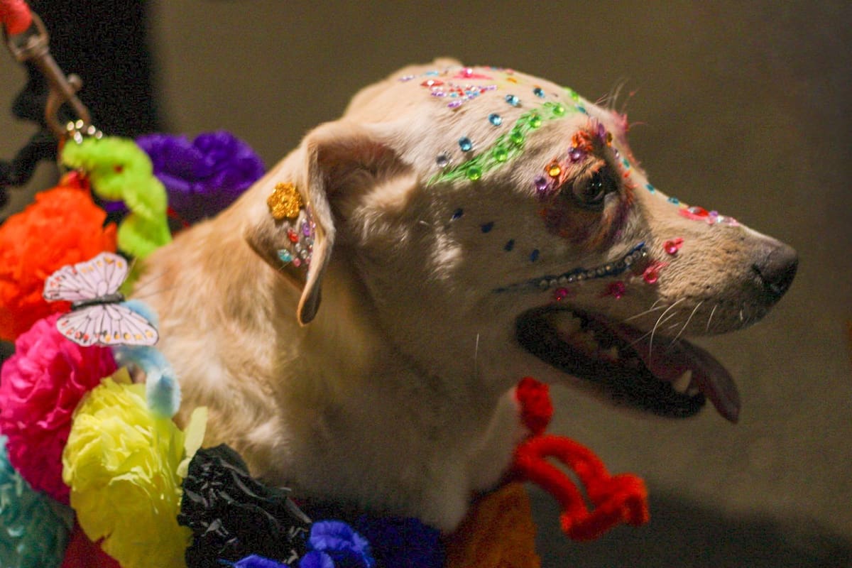 Foto: Fernando Margueri.