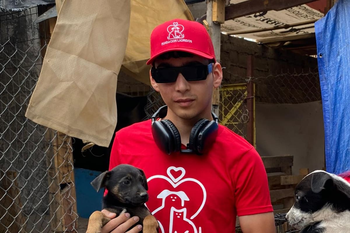 Fundación Ladridos llama a participar en recolección de alimento; conoce cómo ayudan a perros y gatos