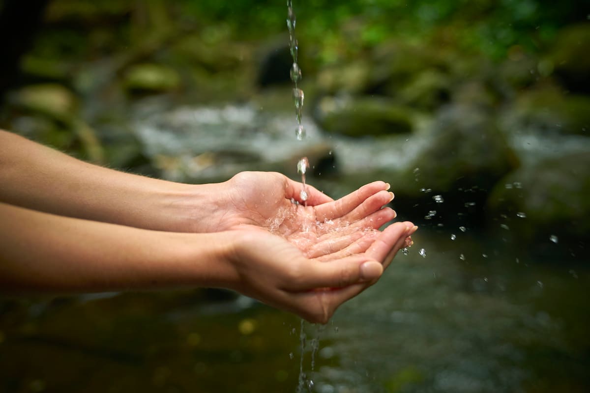 10 datos importantes sobre el agua que todos deben conocer