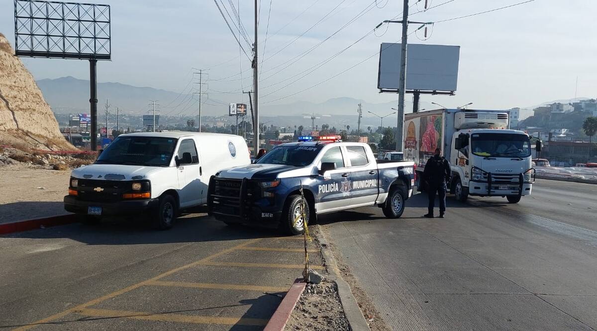El hallazgo se registró la mañana de este viernes.