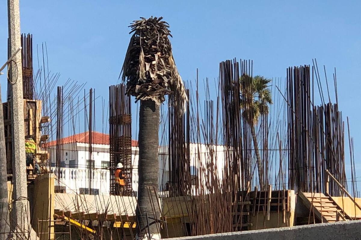 Presentan leve avance obras del Parque Abelardo L. Rodríguez