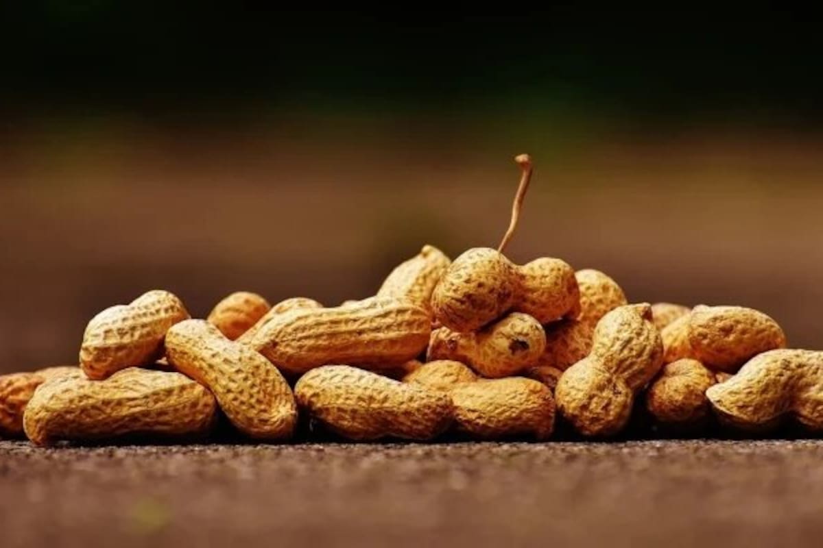 Conoce por qué es bueno comer cacahuates diariamente