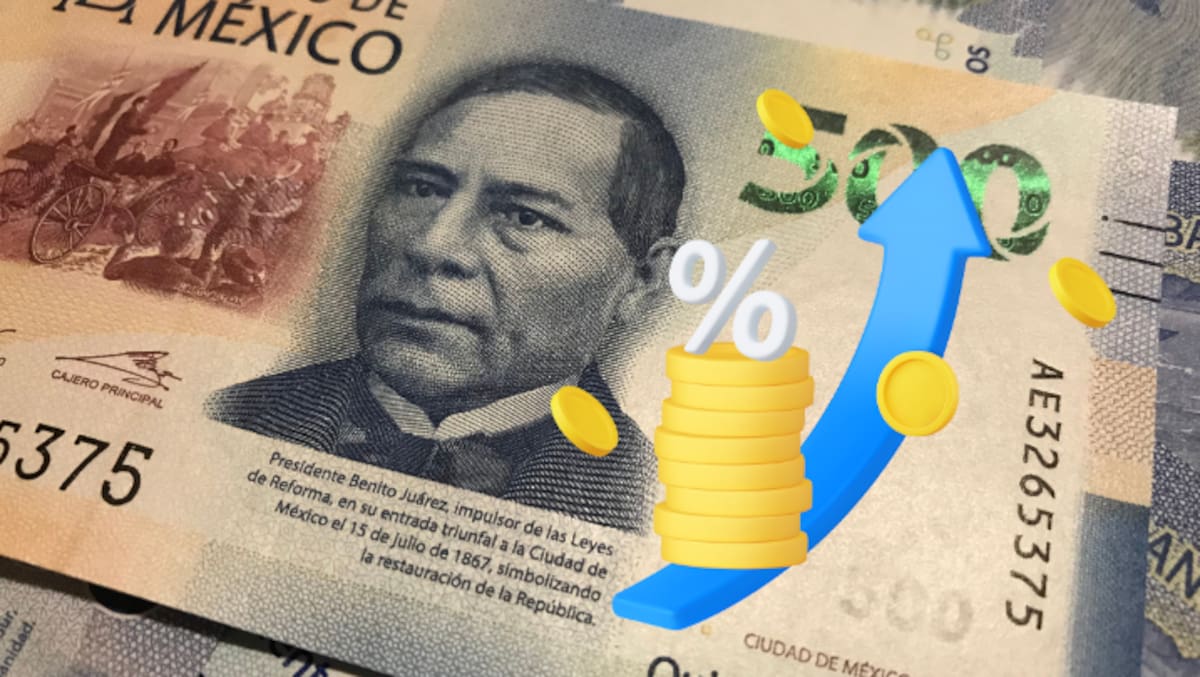 Foto Ilustrativa: Canva.