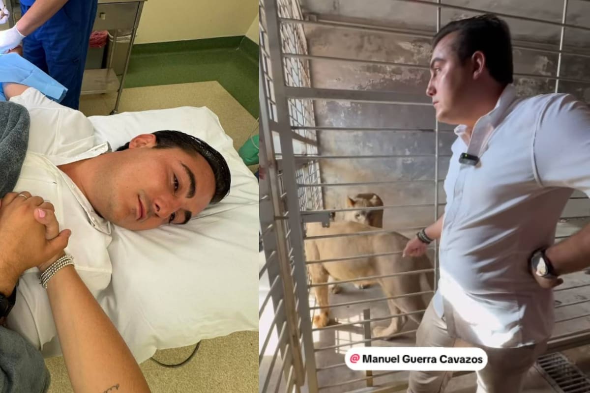 Alcalde de García, Nuevo León, es mordido por león rescatado: Esto fue lo que pasó