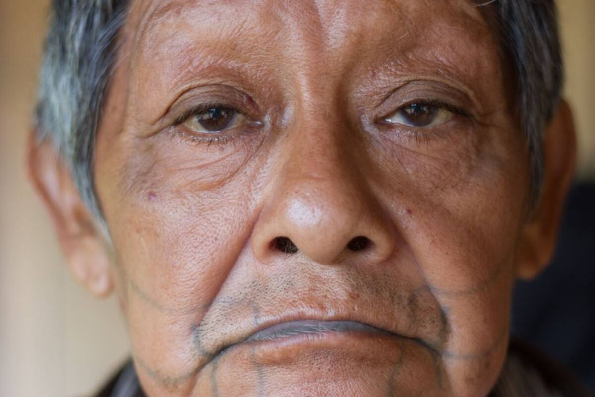 "El coronavirus nunca debió habernos alcanzado": muere el último hombre del pueblo indígena juma en Brasil