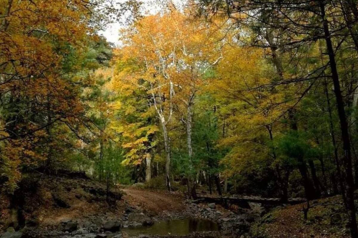 ¿Por qué en Sonora dicen que el otoño "no existe"?