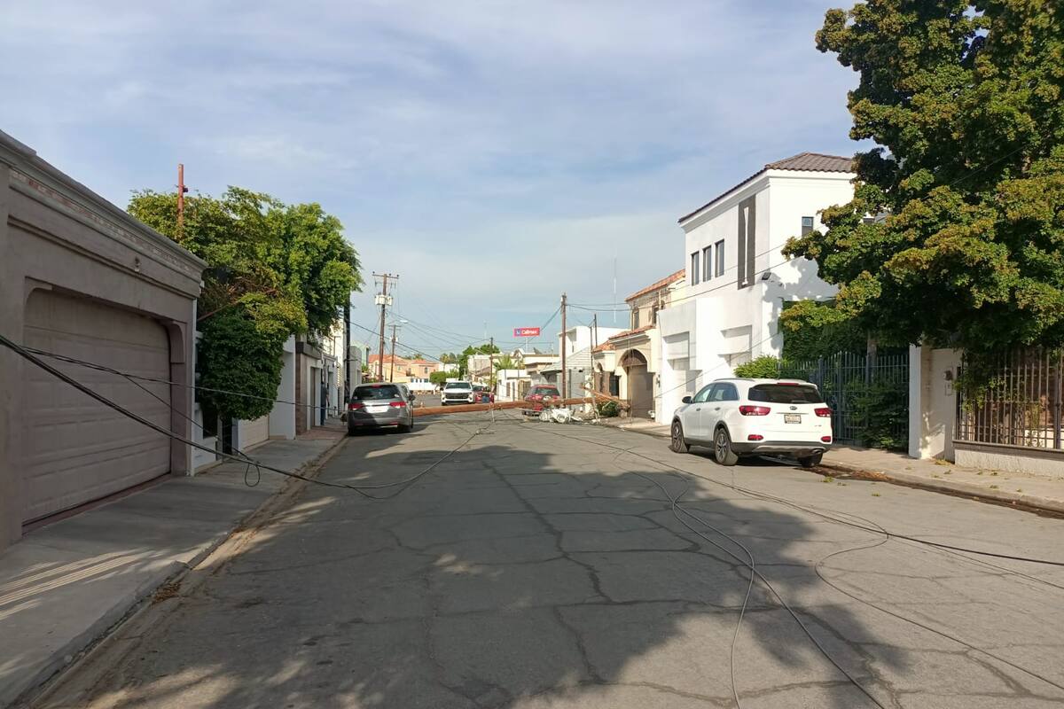 Siete postes, cuatro transformadores y cableado eléctrico cayeron por causas desconocidas, en  Vistahermosa