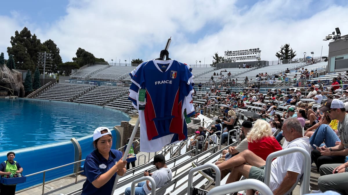 Cientos de visitantes disfrutaron del duelo entre Francia y España en una pantalla gigante instalada en el estadio de las orcas de SeaWorld San Diego.
Fotos: Cortesía.