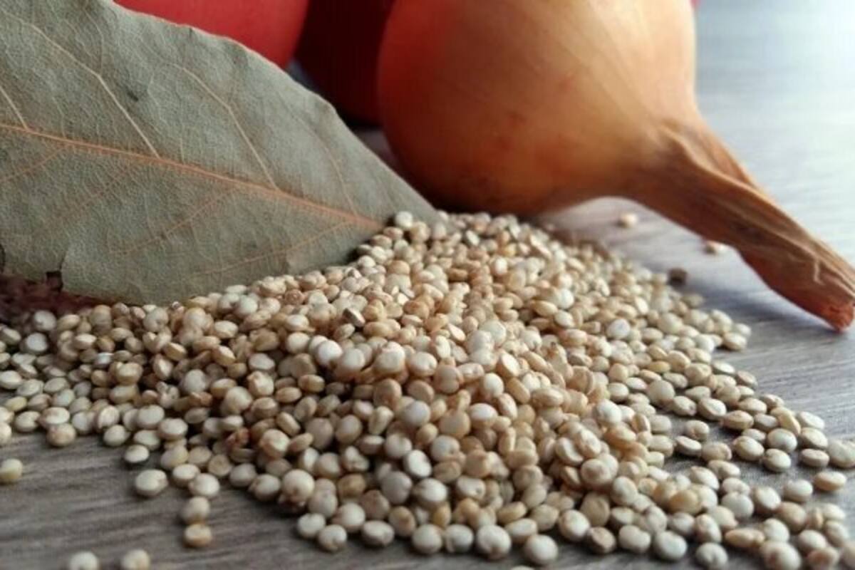 Conoce los beneficios de consumir quinoa