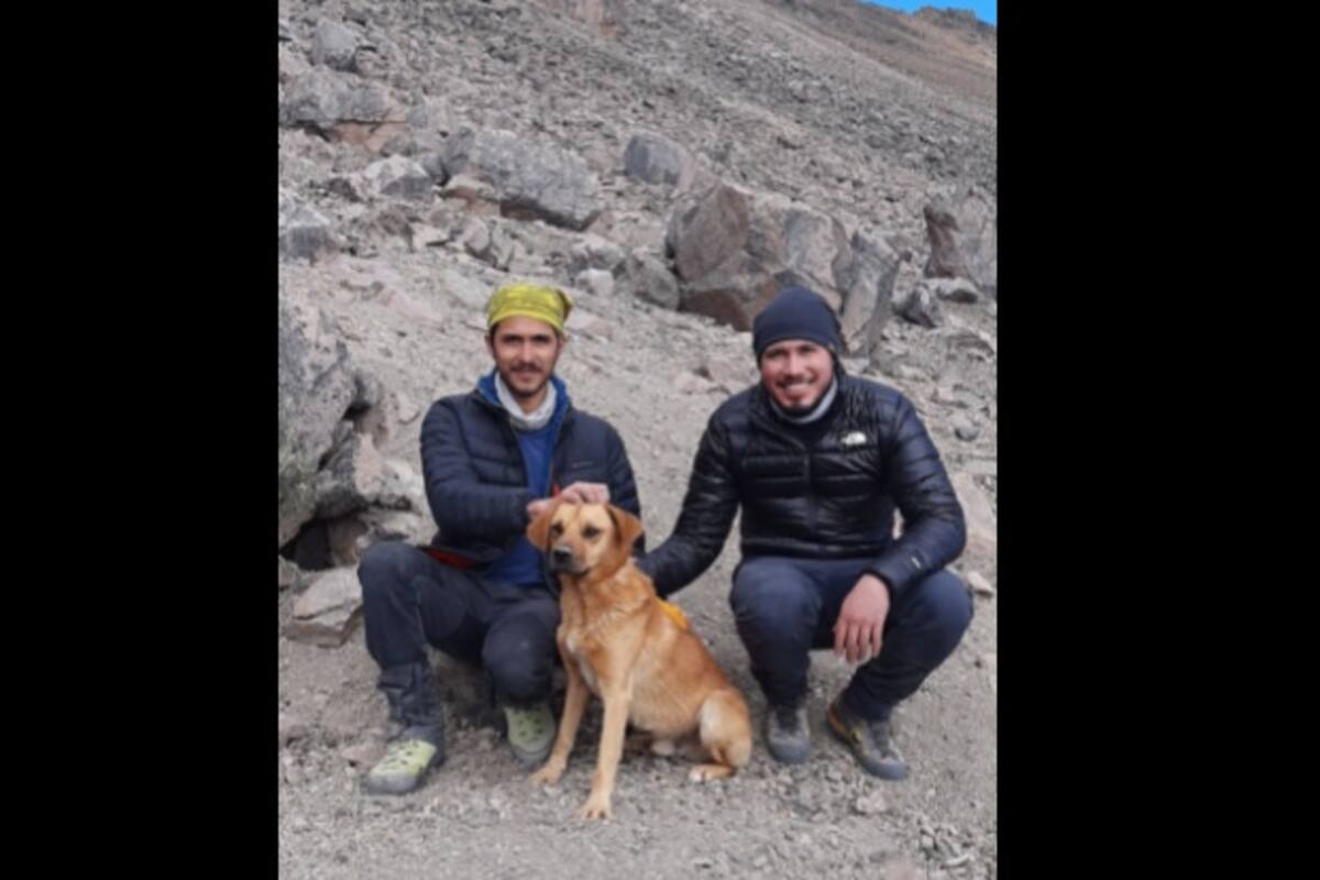 Alpinistas rescatan a perrito que sobrevivió un mes en la montaña más alta de México